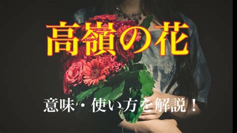 高嶺の花とはどんな人|高嶺の花とはどういう意味？そう思われる女性の15個。